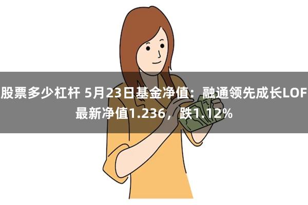 股票多少杠杆 5月23日基金净值：融通领先成长LOF最新净值1.236，跌1.12%