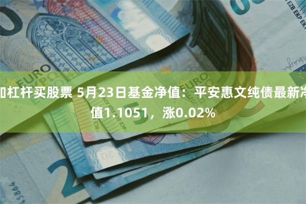 加杠杆买股票 5月23日基金净值：平安惠文纯债最新净值1.1051，涨0.02%