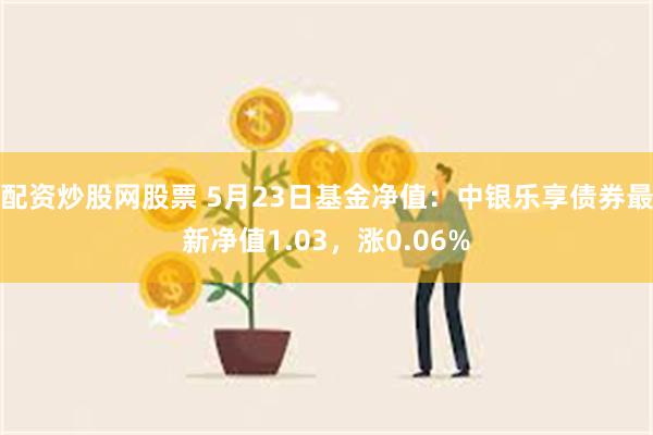 配资炒股网股票 5月23日基金净值：中银乐享债券最新净值1.03，涨0.06%