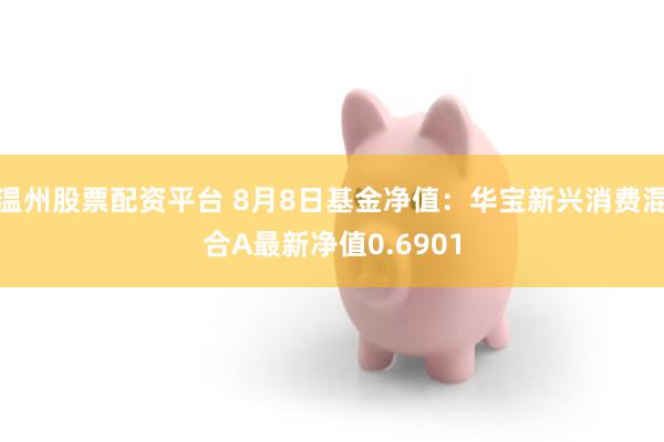 温州股票配资平台 8月8日基金净值：华宝新兴消费混合A最新净值0.6901