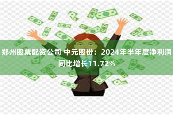 郑州股票配资公司 中元股份：2024年半年度净利润同比增长11.72%