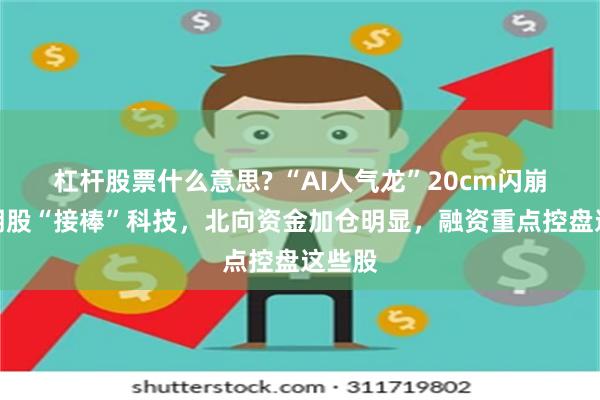 杠杆股票什么意思? “AI人气龙”20cm闪崩！周期股“接棒”科技，北向资金加仓明显，融资重点控盘这些股