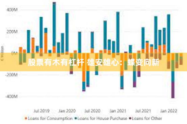 股票有木有杠杆 雄安雄心：蝶变向新